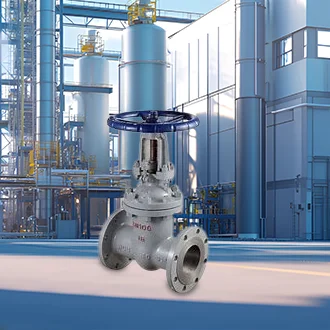 ʻO ka haleʻo Valve
