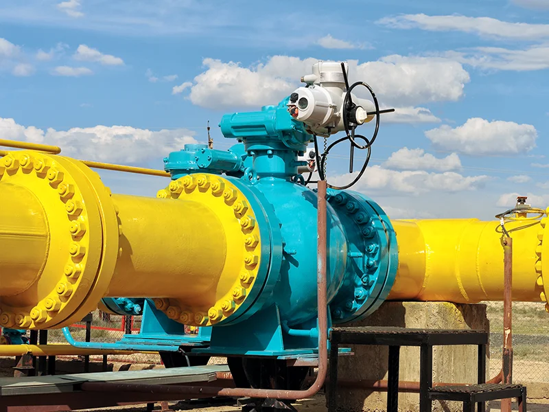 Loaʻa i nā kiʻi o Gate Valve