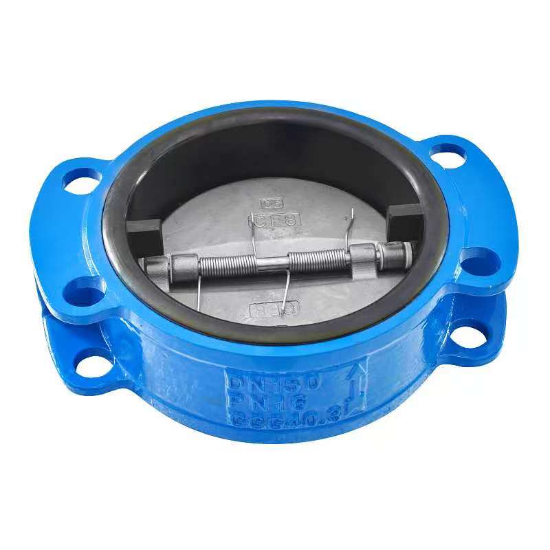 He aha nā mea nui no ke kohoʻana i nā Valves Check