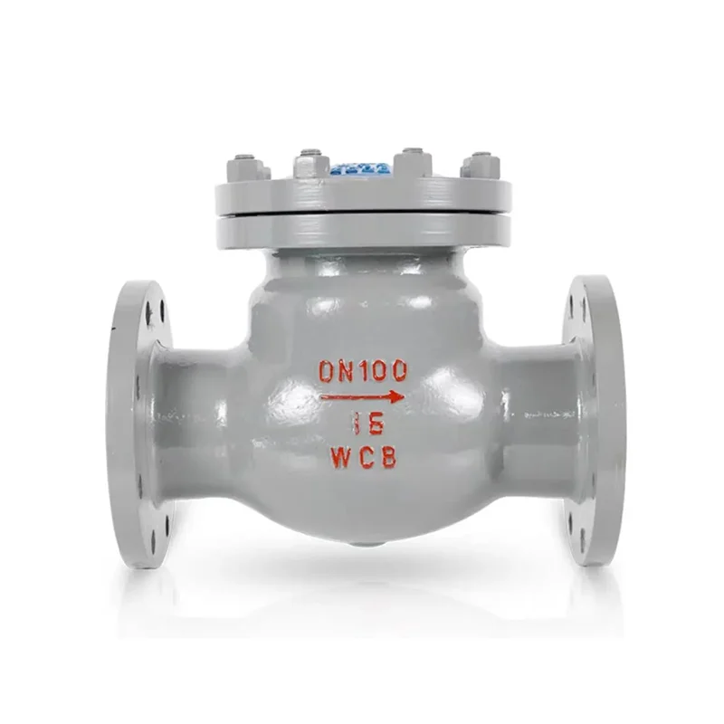 Ua nānāʻo Shop Sponel Slange Check Valve Valve